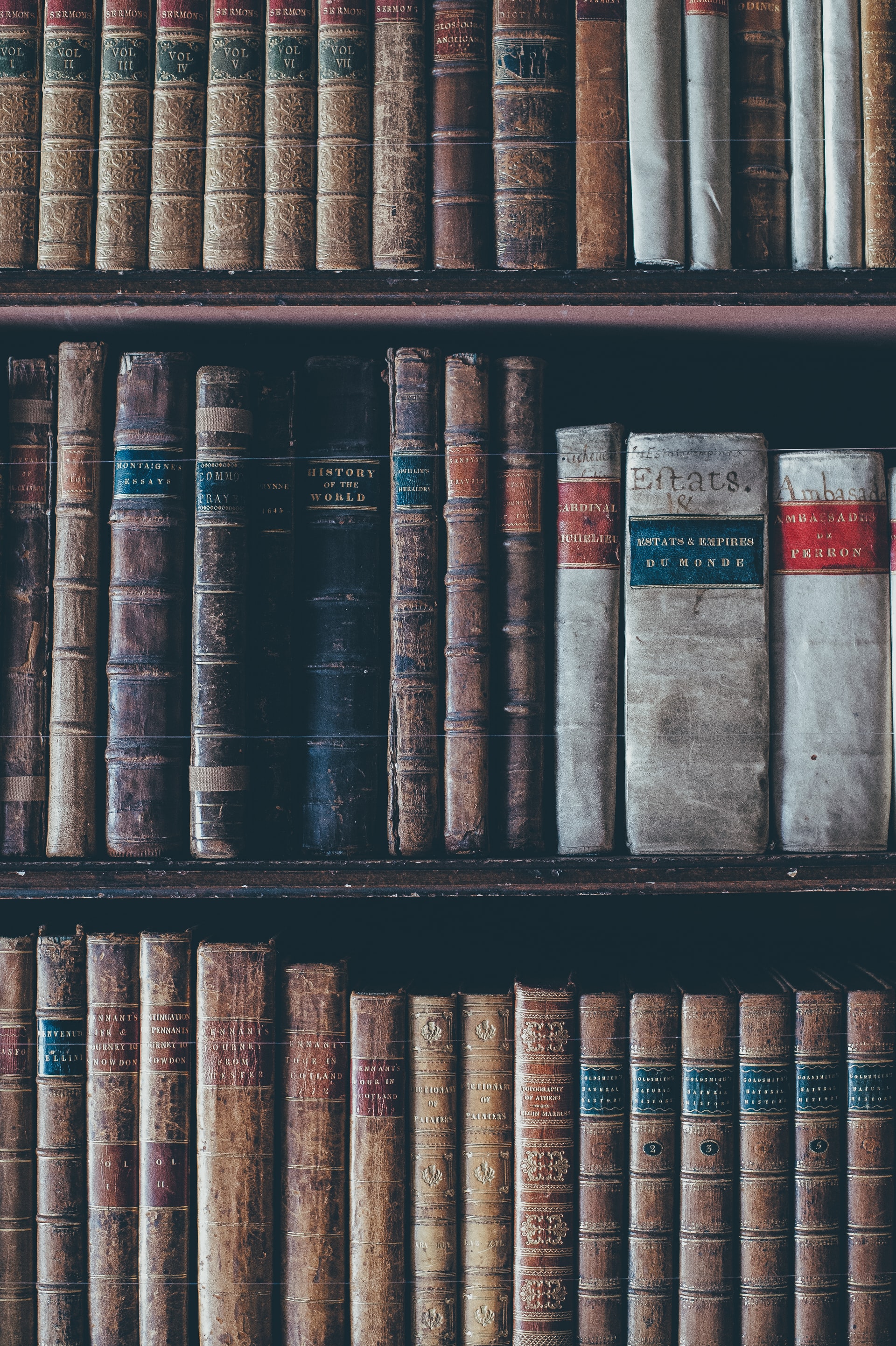Background Photo by Annie Spratt on Unsplash