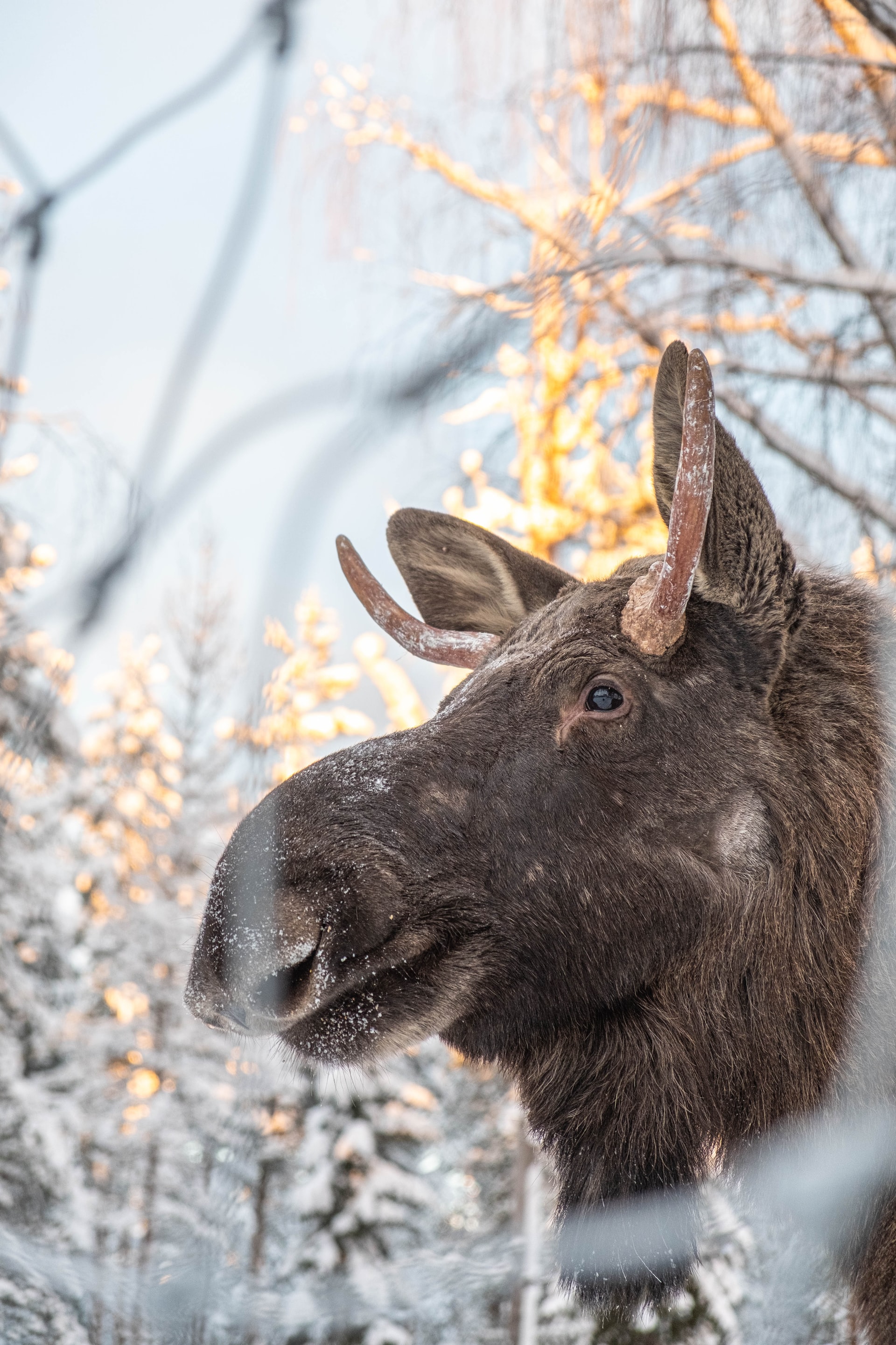 Background Photo by Nikola Johnny Mirkovic on Unsplash